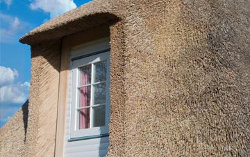 Henstridge thatch roof disadvantages