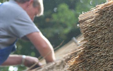 professional Henstridge thatchers