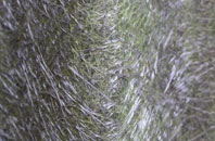 Henstridge fibreglass roof work